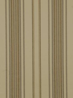 Robert Allen Buena Vista Stucco