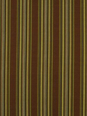 Robert Allen Camp Evergreen Flame