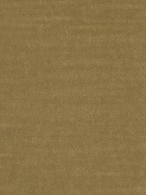 Robert Allen Contentment Sand Dollar