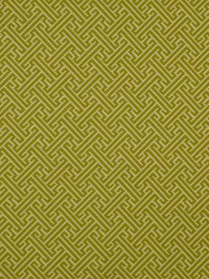 Robert Allen Corn Maize Palm