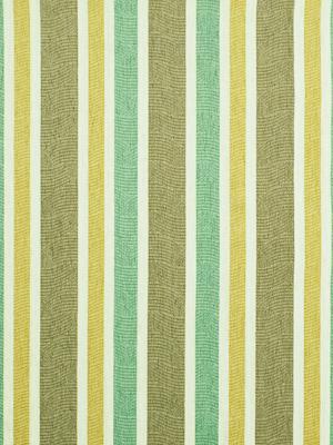 Robert Allen Double Time Aloe