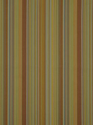 Robert Allen Freestyling Aquatic