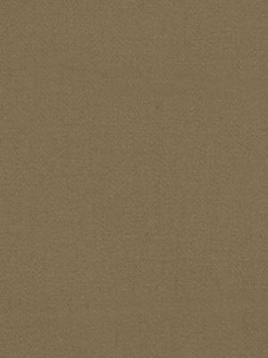 Robert Allen Lustre Sheen Teaberry