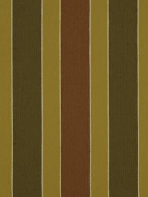 Robert Allen Nalapd Turmeric