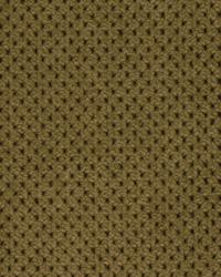 Robert Allen Plush Softy Cashew Fabric