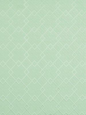 Robert Allen Quilted Time Aloe