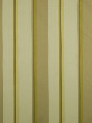 Robert Allen Shimmers Sprout