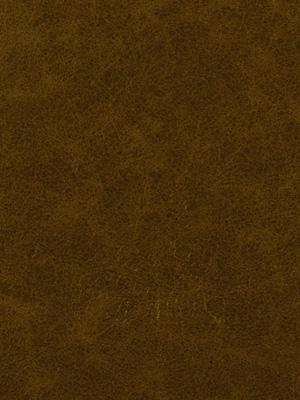 Robert Allen Soft and Shiny Antique