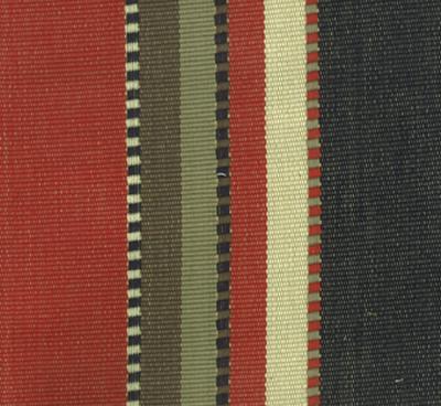 Roth and Tompkins Textiles Apache Black Hills Black Drapery Cotton Wide Striped fabric by the yard.