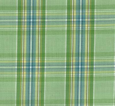 roth and tompkins,roth,drapery fabric,curtain fabric,window fabric,bedding fabric,discount fabric,designer fabric,decorator fabric,discount roth and tompkins fabric,fabric for sale,fabric Belden D2936 Apple Belden Apple fabric by the yard.