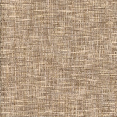 Roth and Tompkins Textiles Burma Chinchila Polyester Fire Rated Fabric Woven fabric by the yard.