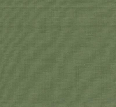 Roth and Tompkins Textiles Clipper Fern Green Drapery Cotton Solid Green fabric by the yard.