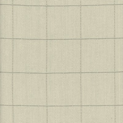 Roth and Tompkins Textiles Copley Square Aloe new roth 2024 Beige Cotton Cotton Check  Fabric fabric by the yard.