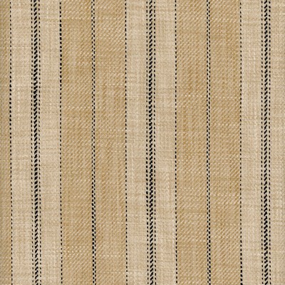 Roth and Tompkins Textiles Cotswald Raffia new roth 2024 Brown Polyester Polyester Striped  Fabric fabric by the yard.