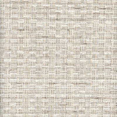 Roth and Tompkins Textiles Ellington Birchwood new roth 2024 Beige P  Blend Woven  Fabric fabric by the yard.