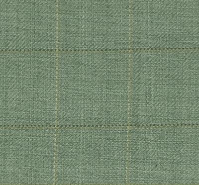 Roth and Tompkins Textiles Frazier Thyme Green Drapery Cotton Check fabric by the yard.