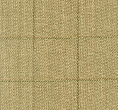 roth and tompkins,roth,drapery fabric,curtain fabric,window fabric,bedding fabric,discount fabric,designer fabric,decorator fabric,discount roth and tompkins fabric,fabric for sale,fabric Frazier D2513 Straw Frazier Straw fabric by the yard.