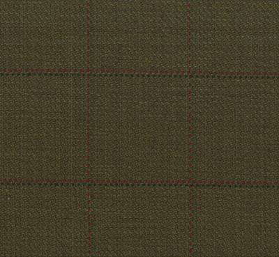 Roth and Tompkins Textiles Frazier Ranger Roth & Tompkins Summer 2012 Additions D2521 Green Drapery Cotton Cotton Check  Fabric fabric by the yard.