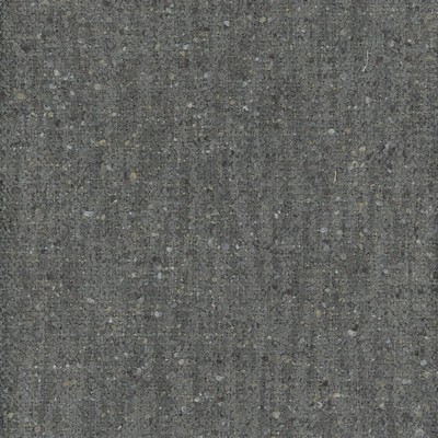 Roth and Tompkins Textiles Homestead Alloy new roth 2024 Grey Polyester Polyester fabric by the yard.