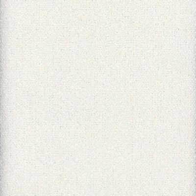 Roth and Tompkins Textiles Homestead Snow new roth 2024 White Polyester Polyester fabric by the yard.
