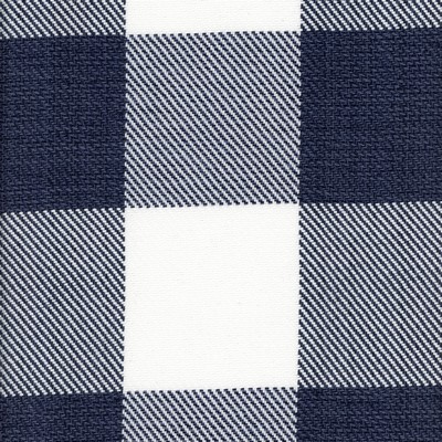 Roth and Tompkins Textiles Metro Check Indigo Blue Cotton Large Check Check fabric by the yard.