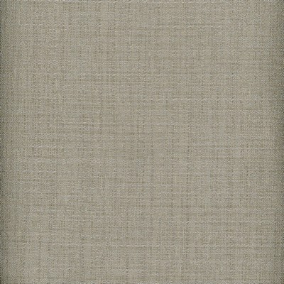 Heritage Fabrics Raw Silk Crepe Pewter Silver Polyester Fire Rated Fabric Solid Faux Silk NFPA 701 Flame Retardant Solid Silver Gray fabric by the yard.