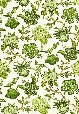 Schumacher Fabric HOTHOUSE FLOWERS VERDANCE