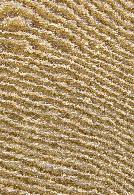 Schumacher Fabric CUMULUS DRIFTWOOD