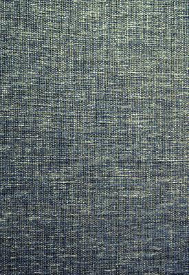 Schumacher Fabric GLIMMER PEACOCK