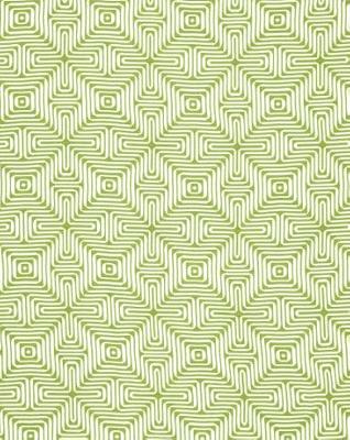 Schumacher Fabric Amazing Maze Palm
