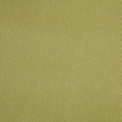 Silver State Acclaim Green Tea