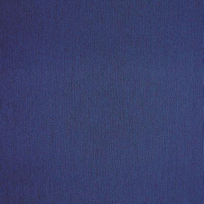 Silver State Acclaim Indigo