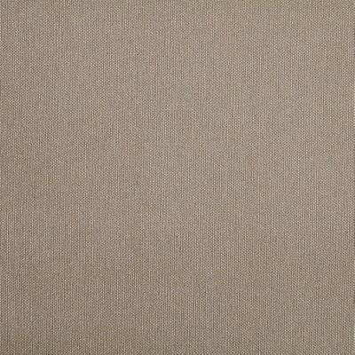 Silver State Acclaim Mink