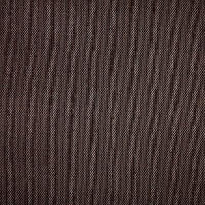 Silver State Acclaim Sable