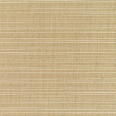 Silver State Dupione Sand