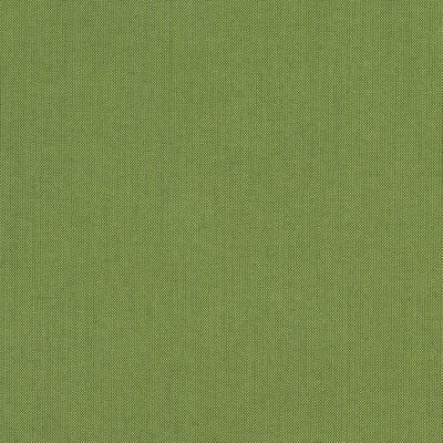 Silver State Spectrum Cilantro