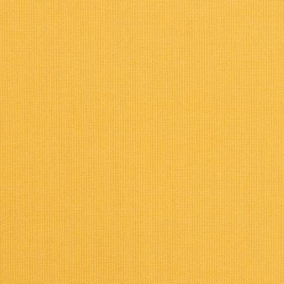 Silver State Spectrum Daffodil