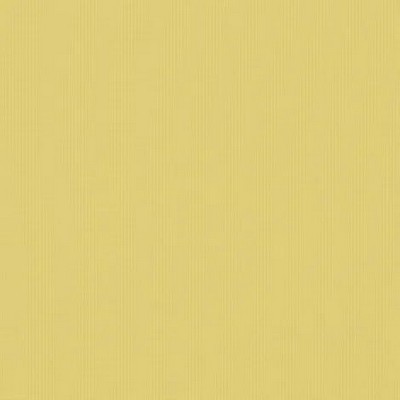 Silver State Canvas Canary