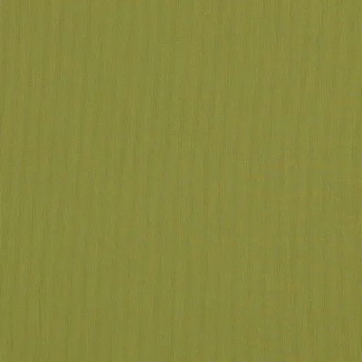 Silver State Canvas Lichen