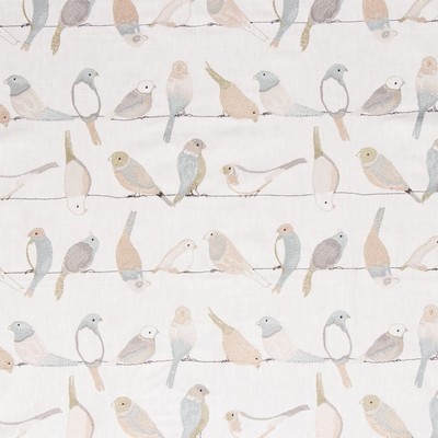 TFA Flying Colors Spa