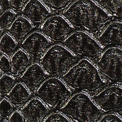 Swavelle-Millcreek Mamba Black