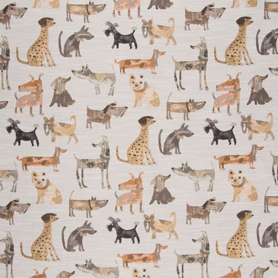 Swavelle-Millcreek Wag A Tude Desert