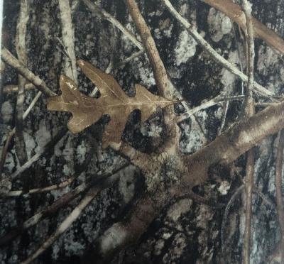 True Timber True Timber Conceal Brown Truesuede 