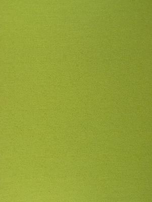 RM Coco Danville Fern