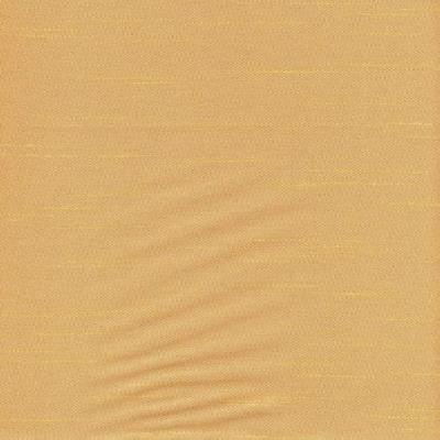 RM Coco Chorus Ginger