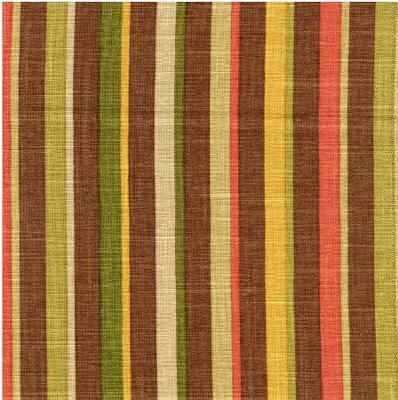 RM Coco Fountain of Youth Carnival