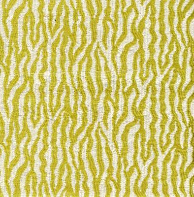 RM Coco River Run Citrine