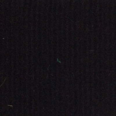 Wimpfheimer Velvet 21 Wale Corduroy Velvet Stripe Black