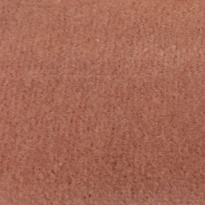 Wimpfheimer Velvet Boulevard Blush