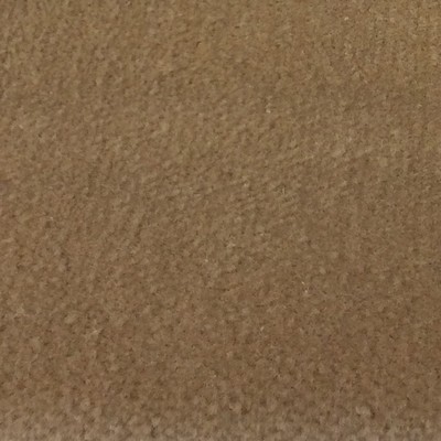 Wimpfheimer Velvet Boulevard Cashmere